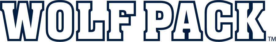 Nevada Wolf Pack 2023-Pres Wordmark Logo v2 diy iron on heat transfer